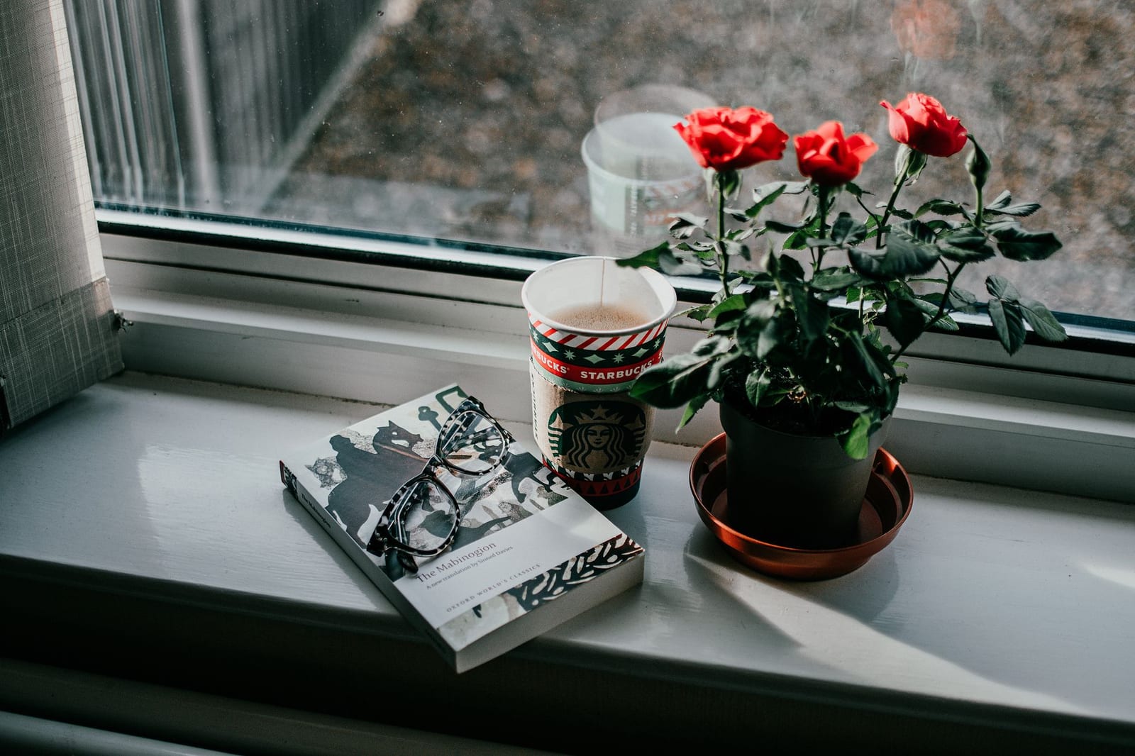 Photograph by Lisa Fotios, via Pexels.