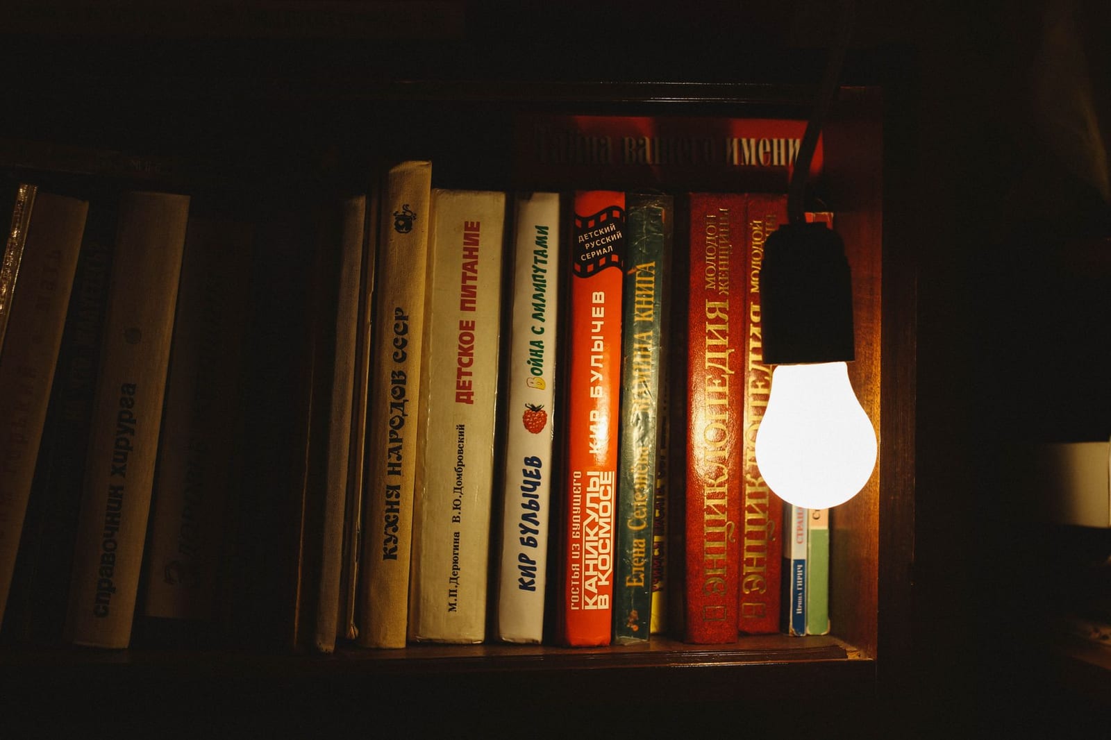 Photograph by Artem Malushenko, via Pexels.