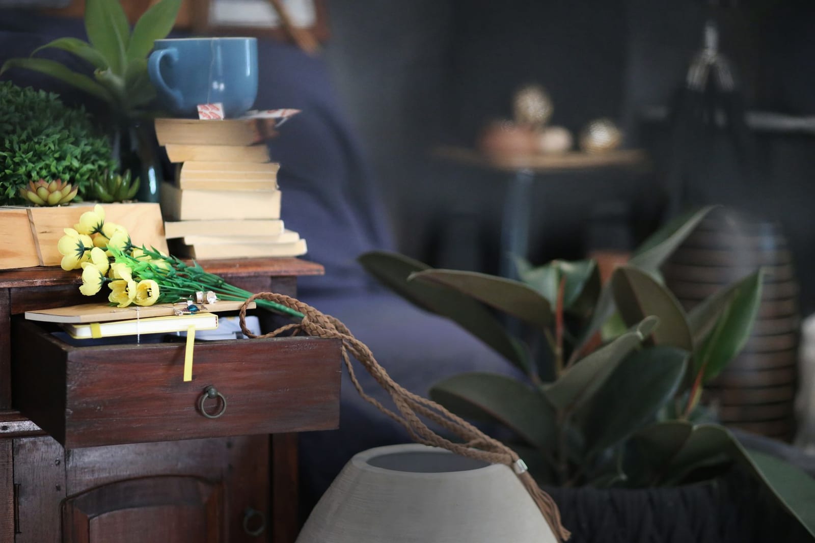 Photograph by Karen Laårk Boshoff, via Pexels.